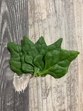 Load image into Gallery viewer, SPINACH - New Zealand
