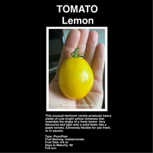 Load image into Gallery viewer, TOMATO BUNDLE
