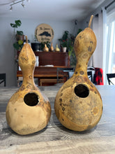 Load image into Gallery viewer, GOURD - Birdhouse
