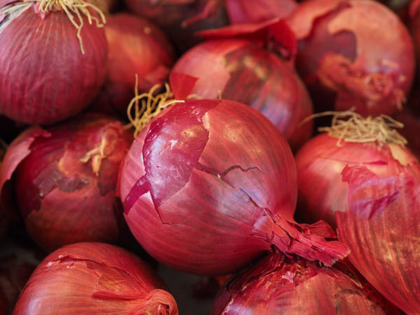 ONION - Red